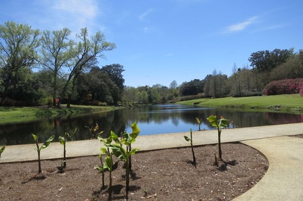bellingrath 042