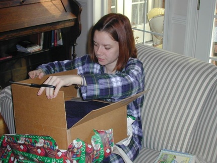 christmas 001
