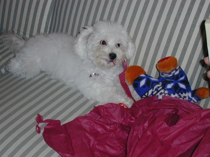 christmas 012