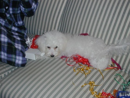 christmas 018