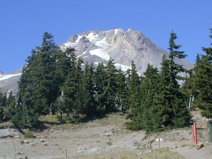 mthood 008