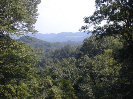 nashville 011