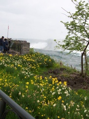 niagrafalls 006