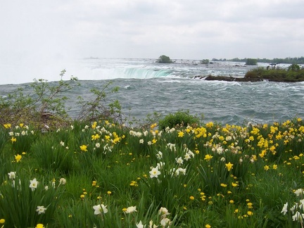 niagrafalls 007