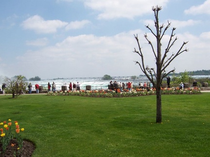 niagrafalls 023