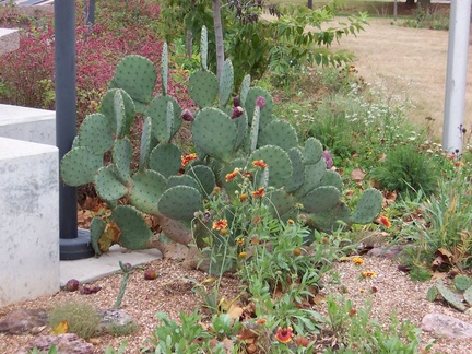 oklahoma 012