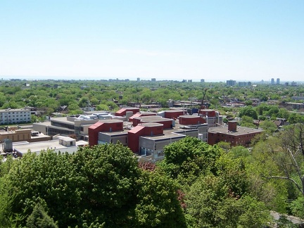 niagrafalls 124