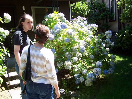 portland 002