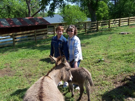 nashville 022