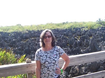 caribbean 007