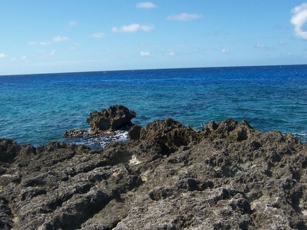 caribbean 019