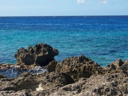 caribbean 020
