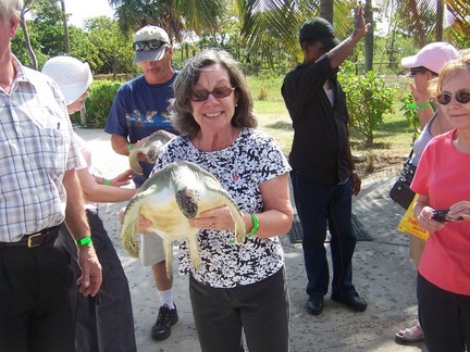 caribbean 040