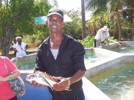 caribbean 042