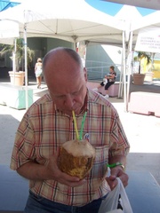 caribbean 047