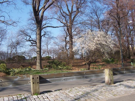 new york b 039
