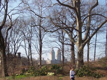 new york b 041