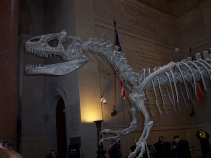 new york 054