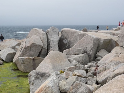 peggy s cove 019