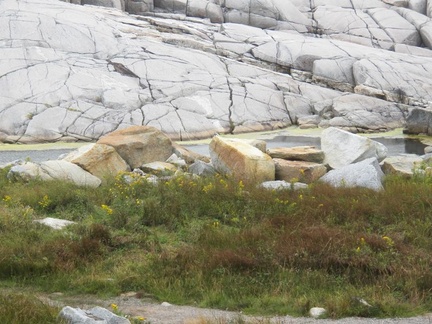 peggy s cove 027