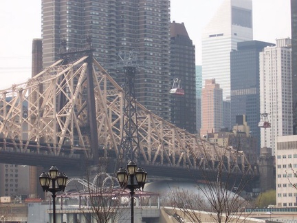 new york 100