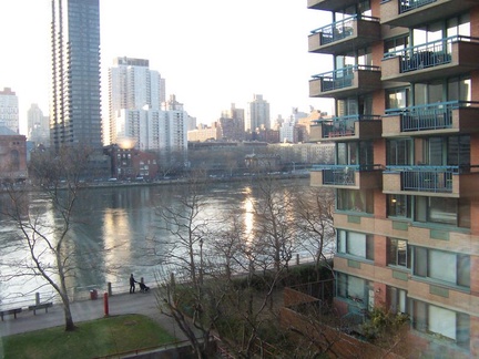 new york b 049