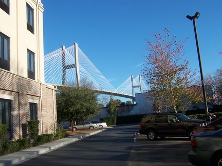 savannah 002