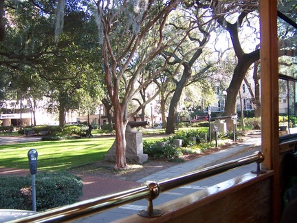 savannah 014