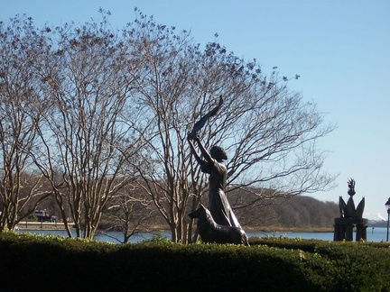 savannah 032