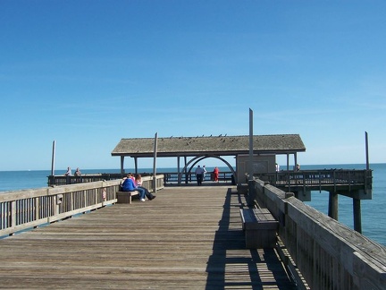 savannah 062