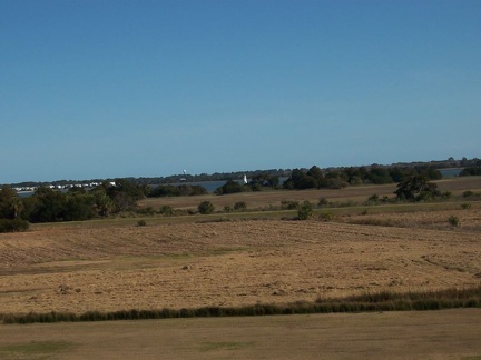savannah 083