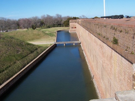 savannah 085