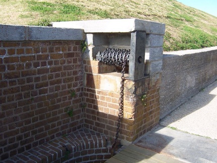 savannah 090
