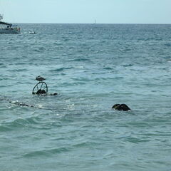 stkitts 004