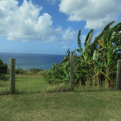 stkitts 008