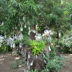 stkitts 016