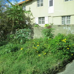 stkitts 018