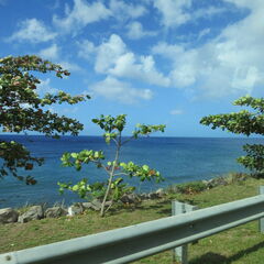 stkitts 020