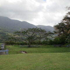 stkitts 028