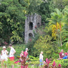 stkitts 072