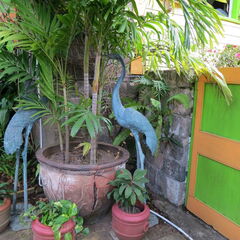 stkitts 076