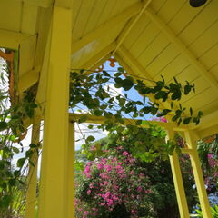 stkitts 091