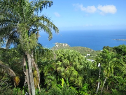 stthomas 067