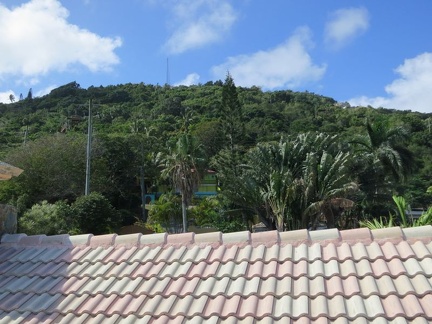 stthomas 081