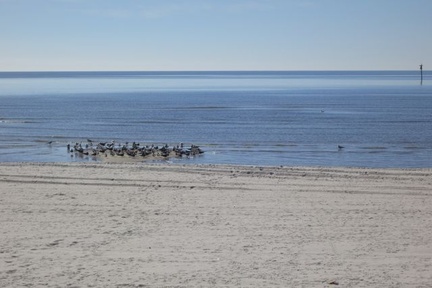 biloxi 055
