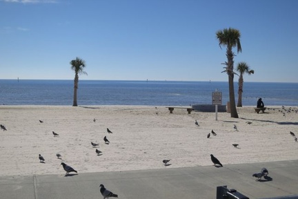 biloxi 065