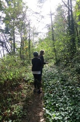 portland9