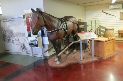 museum4