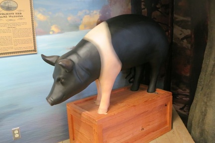 museum5