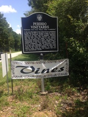 perdido winery12